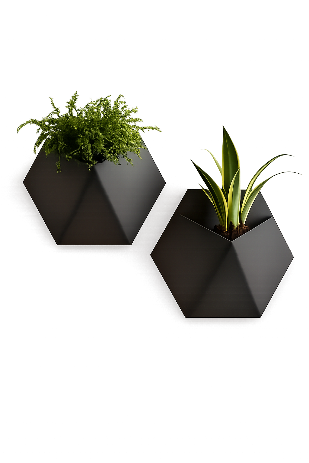 Wand-Blumentopf in hexagonaler Form